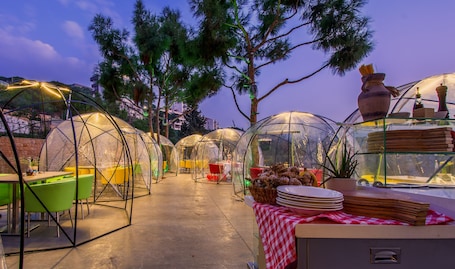 Aftensmad, udsigt til haven