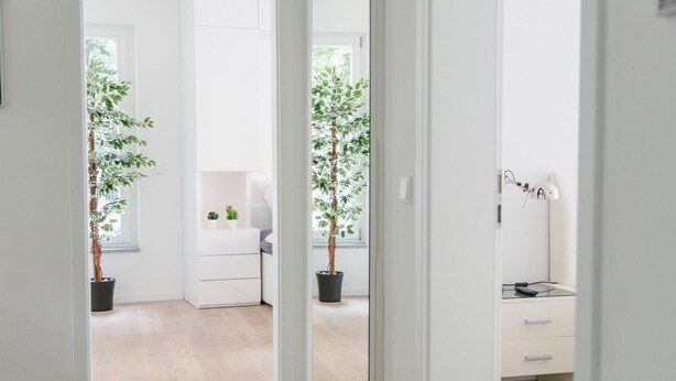 A bright, modern room with a wooden floor, a white dresser, a desk with a lamp, and two potted plants. - Stadthaus Regensburg (Regensburg)