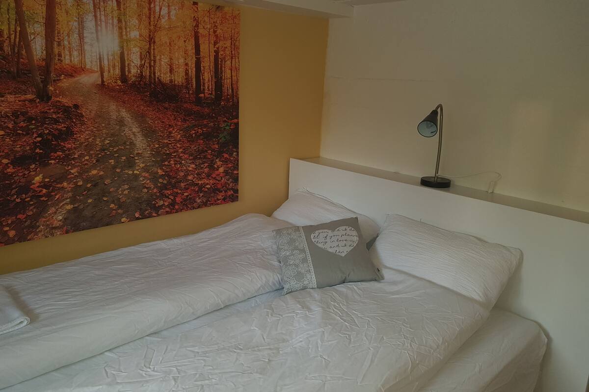 Chambre Double, 1 grand lit, non-fumeurs, salle de bains commune (Basement) | Décoration personnalisée, ameublement personnalisé, rideaux occultants