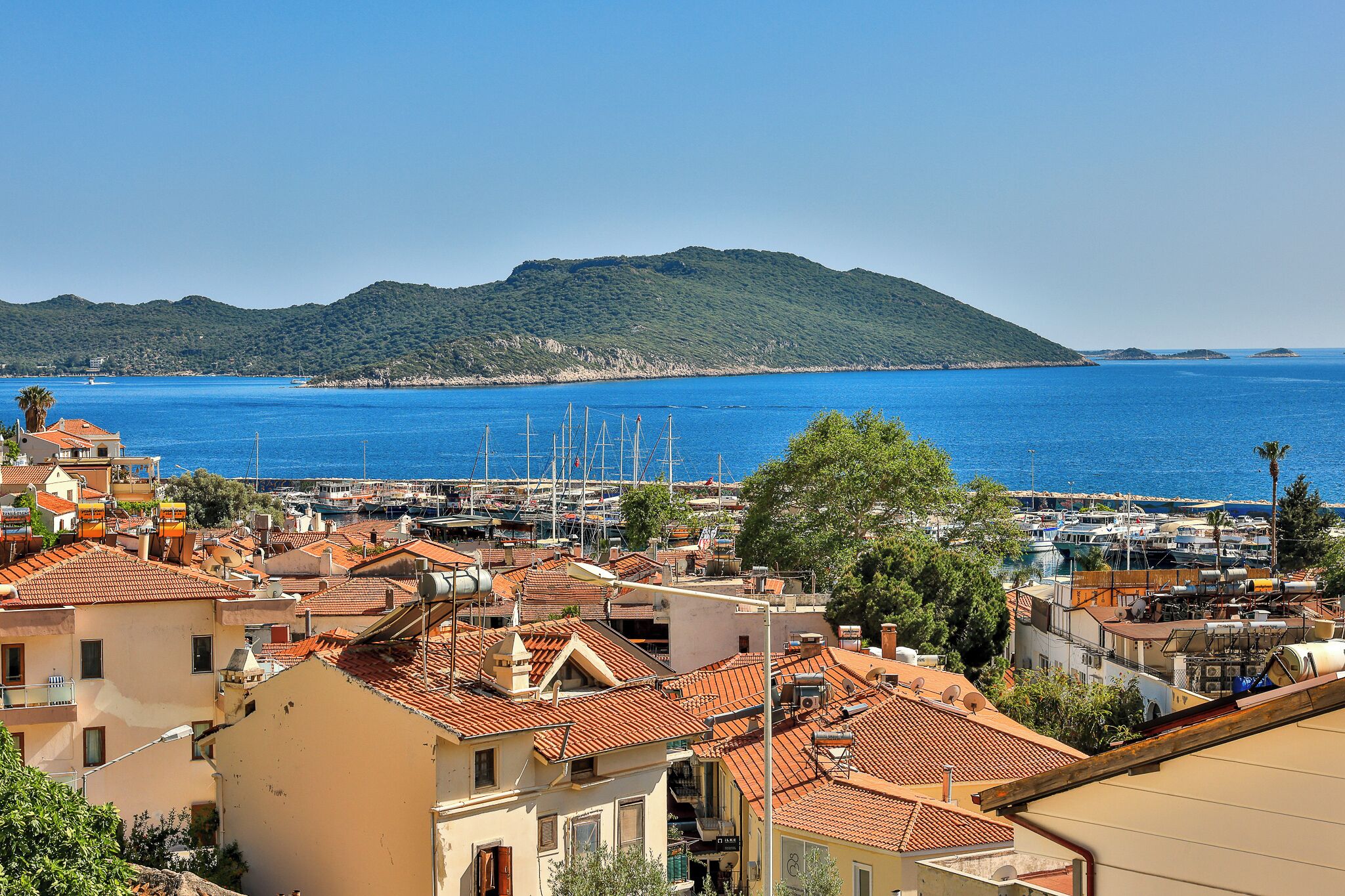 Vista desde la habitación