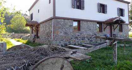 Tas Konak Butik Otel