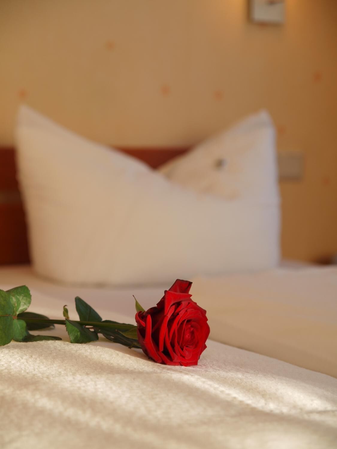 2 bedrooms, minibar, desk, blackout curtains