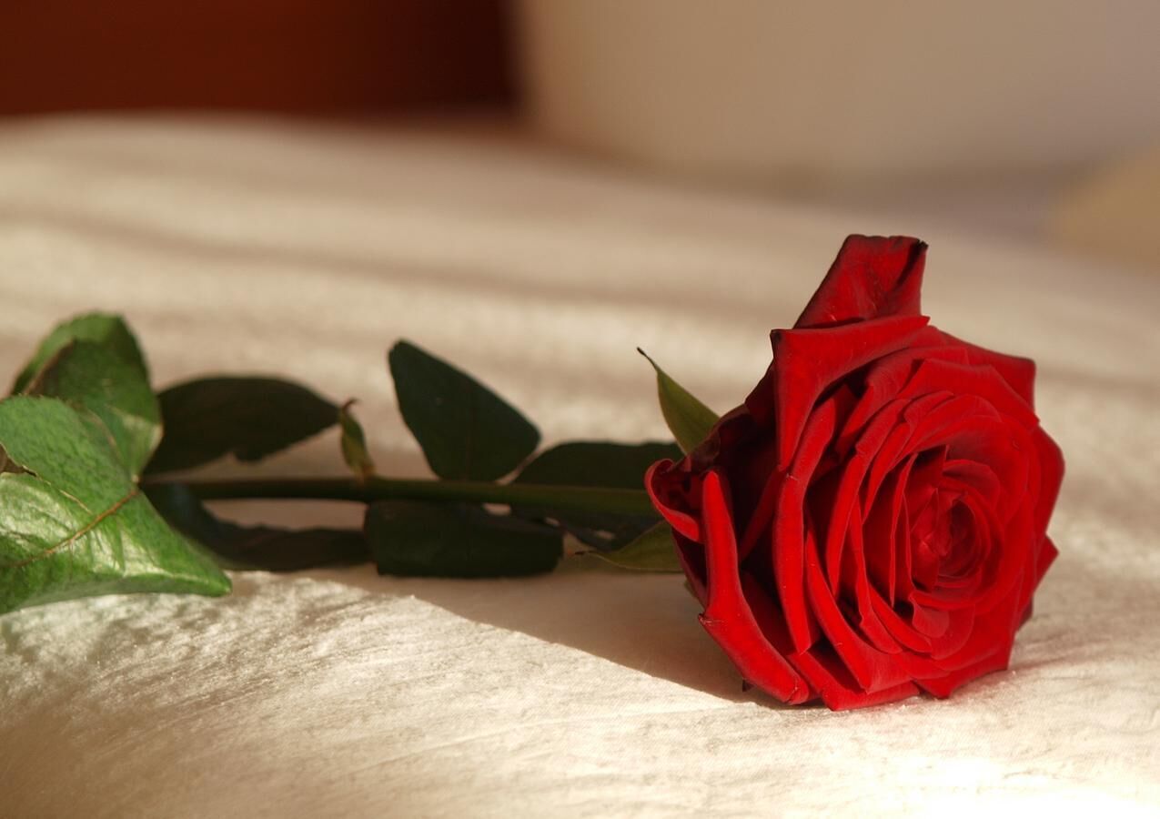 2 bedrooms, minibar, desk, blackout curtains