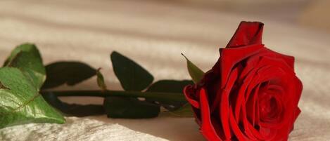 A single red rose with green leaves on a textured surface.