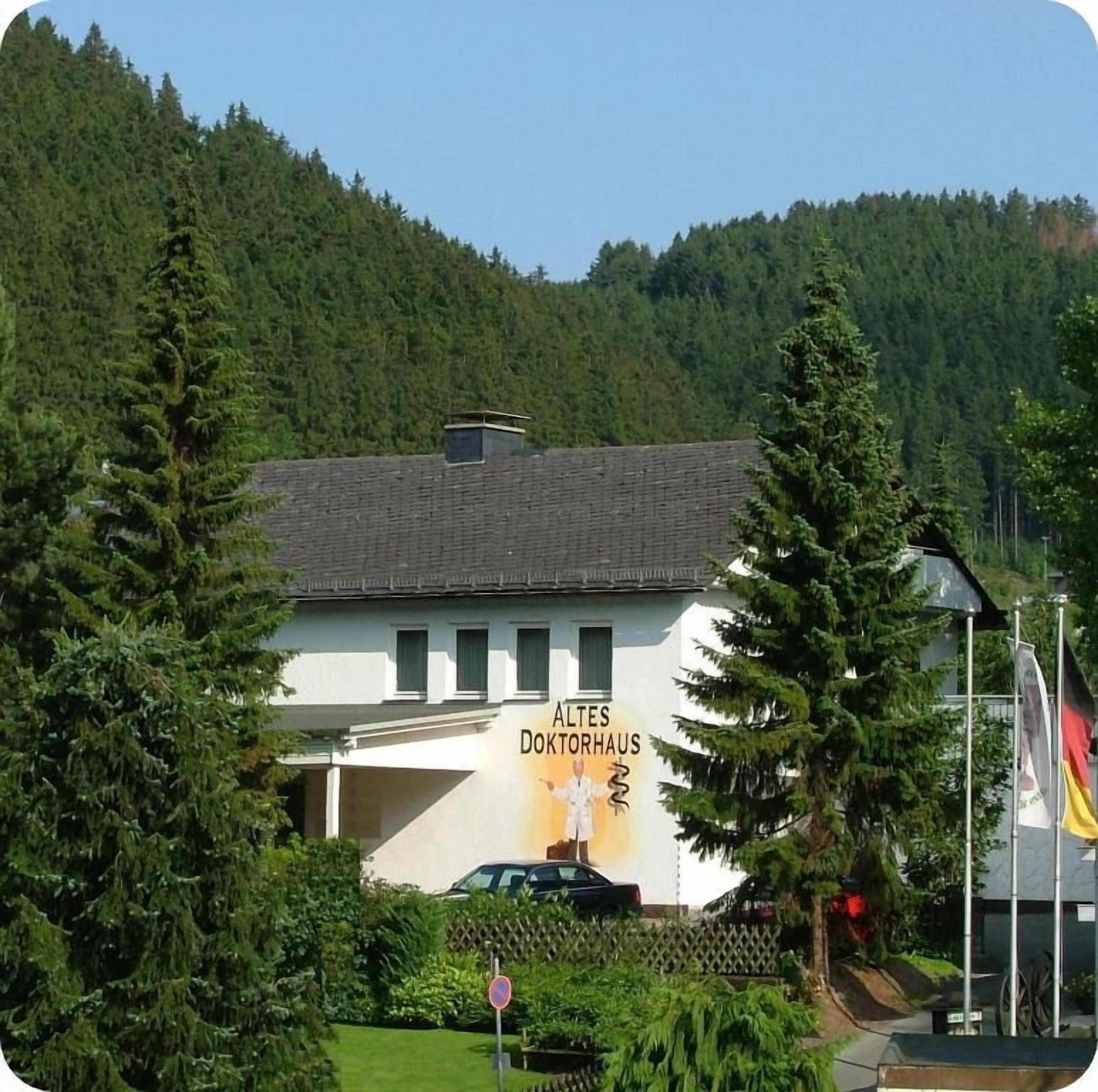 A building with a sign reading 'ALTES DOKTORHAUS' surrounded by trees and a mountain in the background.
