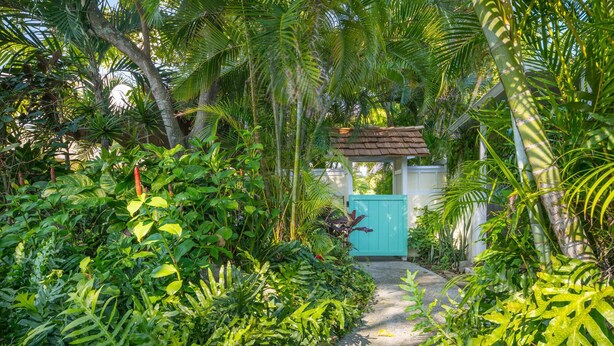 Un sendero en un jardín tropical que lleva a una puerta turquesa.