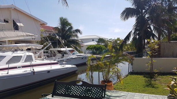 Un port de plaisance avec des bateaux amarrés, un banc et une plante en pot.