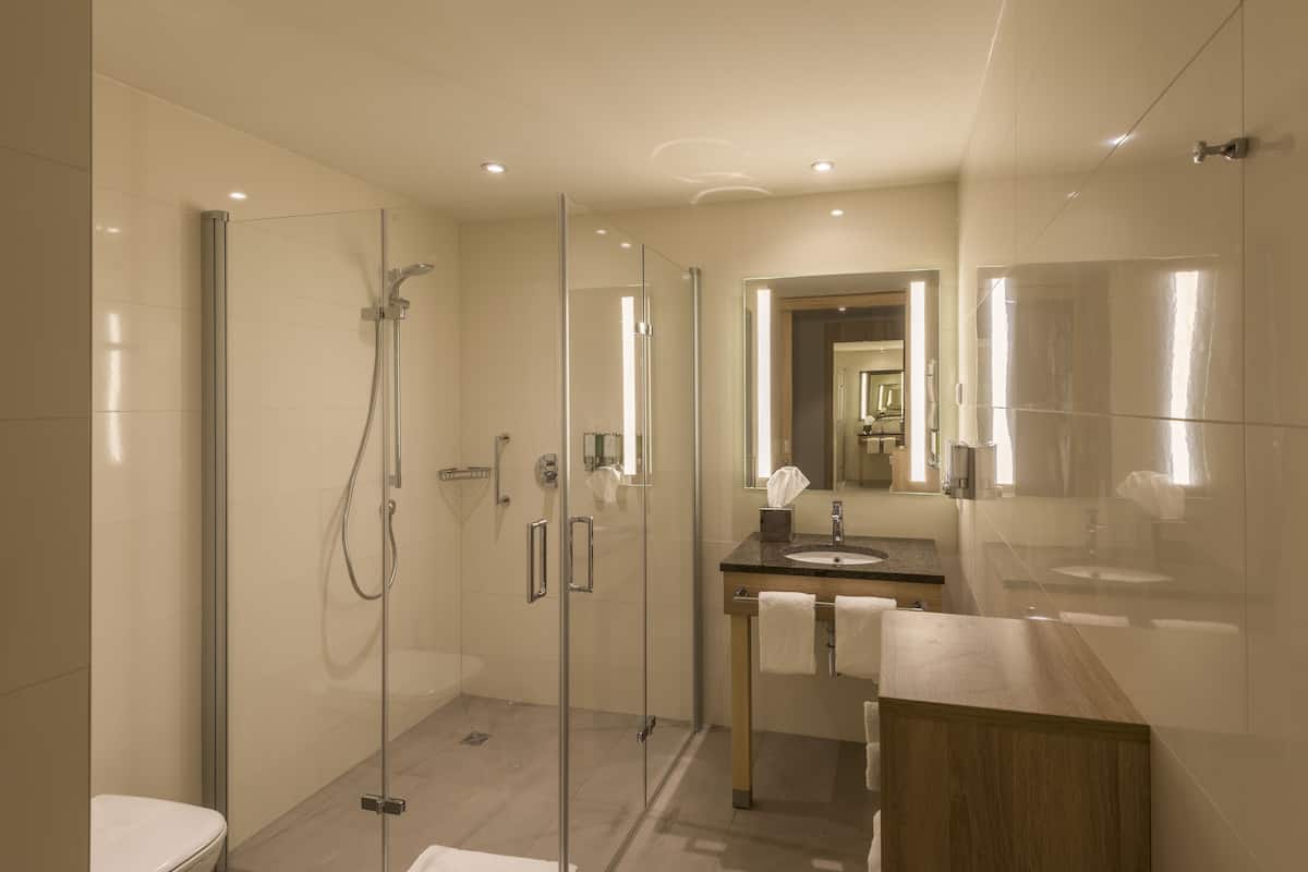 shower, free toiletries, hair dryer, towels