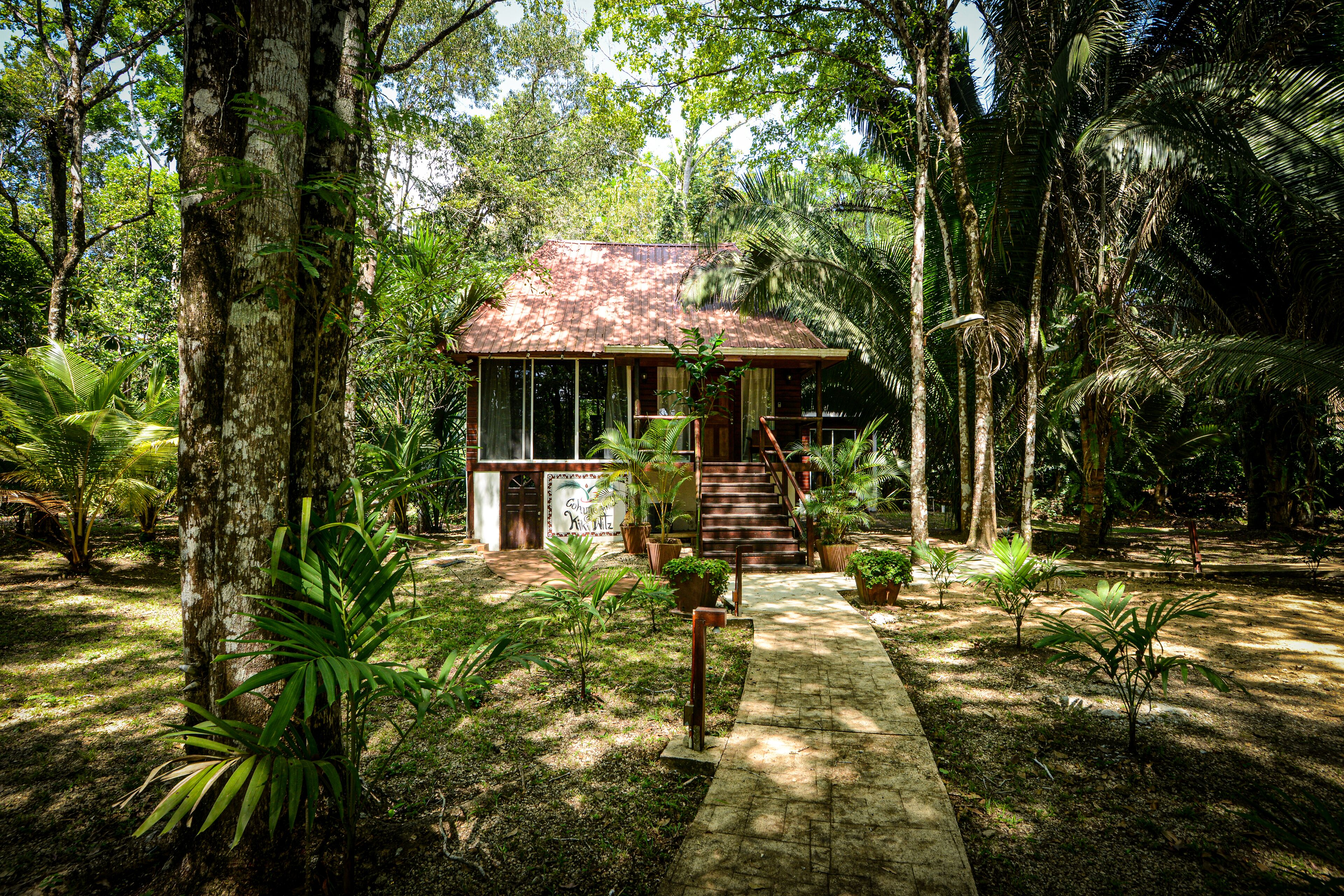 A rustic wooden house surrounded by lush greenery, with a pathway leading to the entrance.