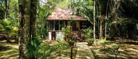 A rustic wooden house surrounded by lush greenery, with a pathway leading to the entrance.