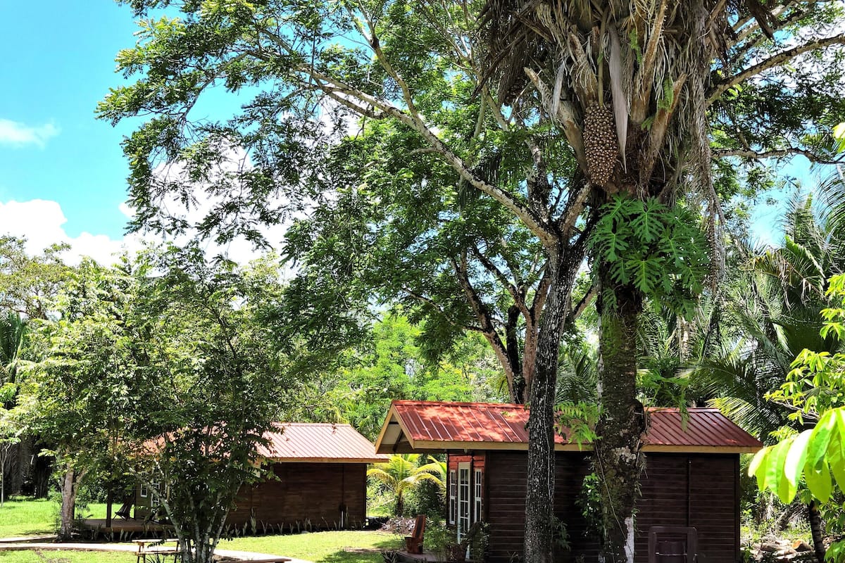 A pathway leading to wooden cabins surrounded by lush greenery and trees.