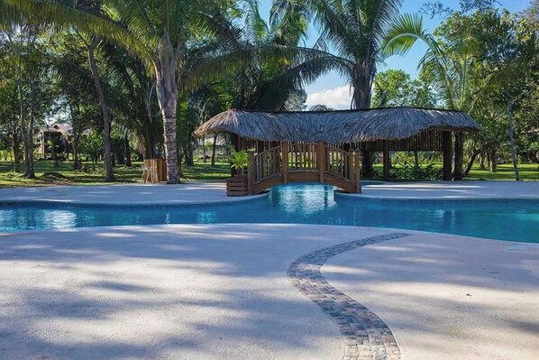 Una piscina al aire libre, sillones reclinables de piscina