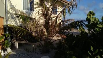 Vue depuis lâhĂ©bergement