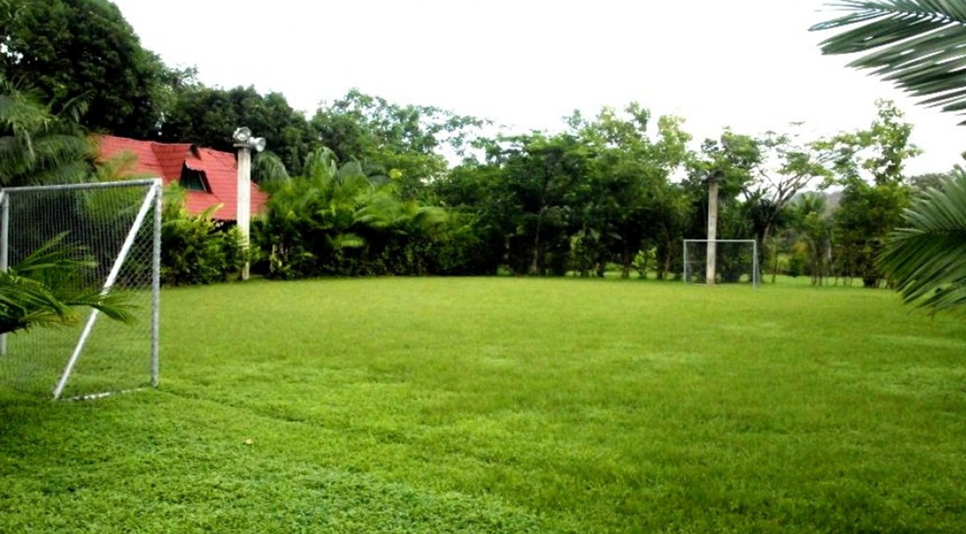 A well-maintained grassy area with a soccer goal, surrounded by lush greenery and trees.
