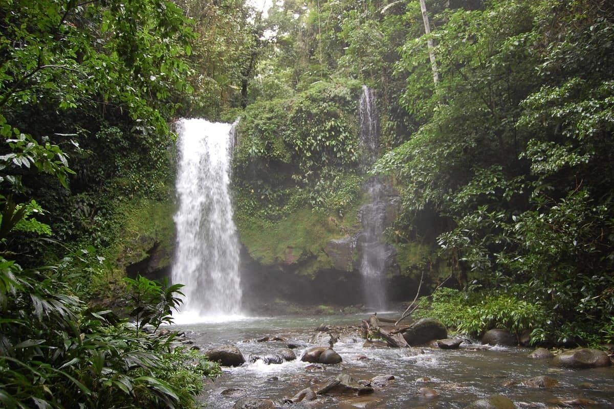 A waterfall surrounded by lush greenery.