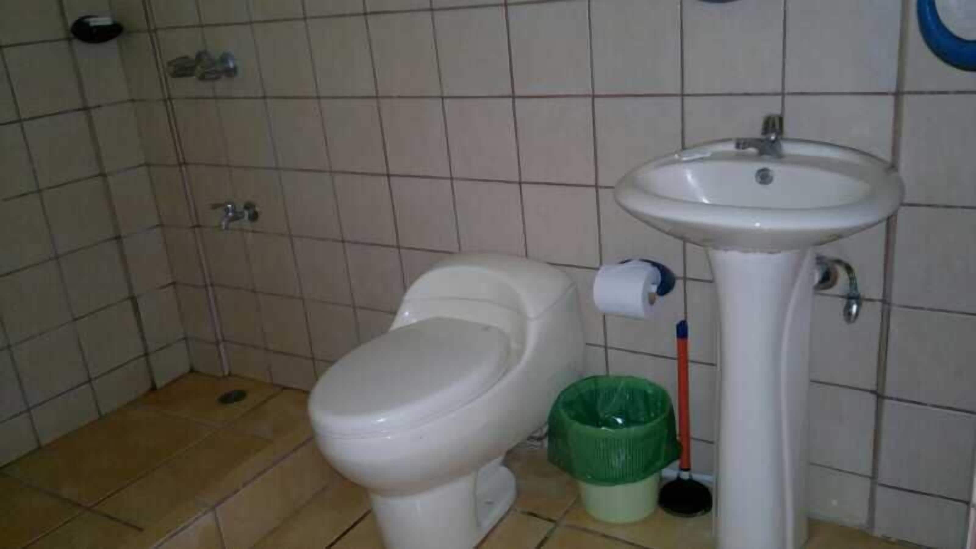 A bathroom with a toilet, sink, and green trash bin.