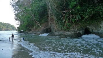 Una playa con terreno rocoso y vegetación densa.