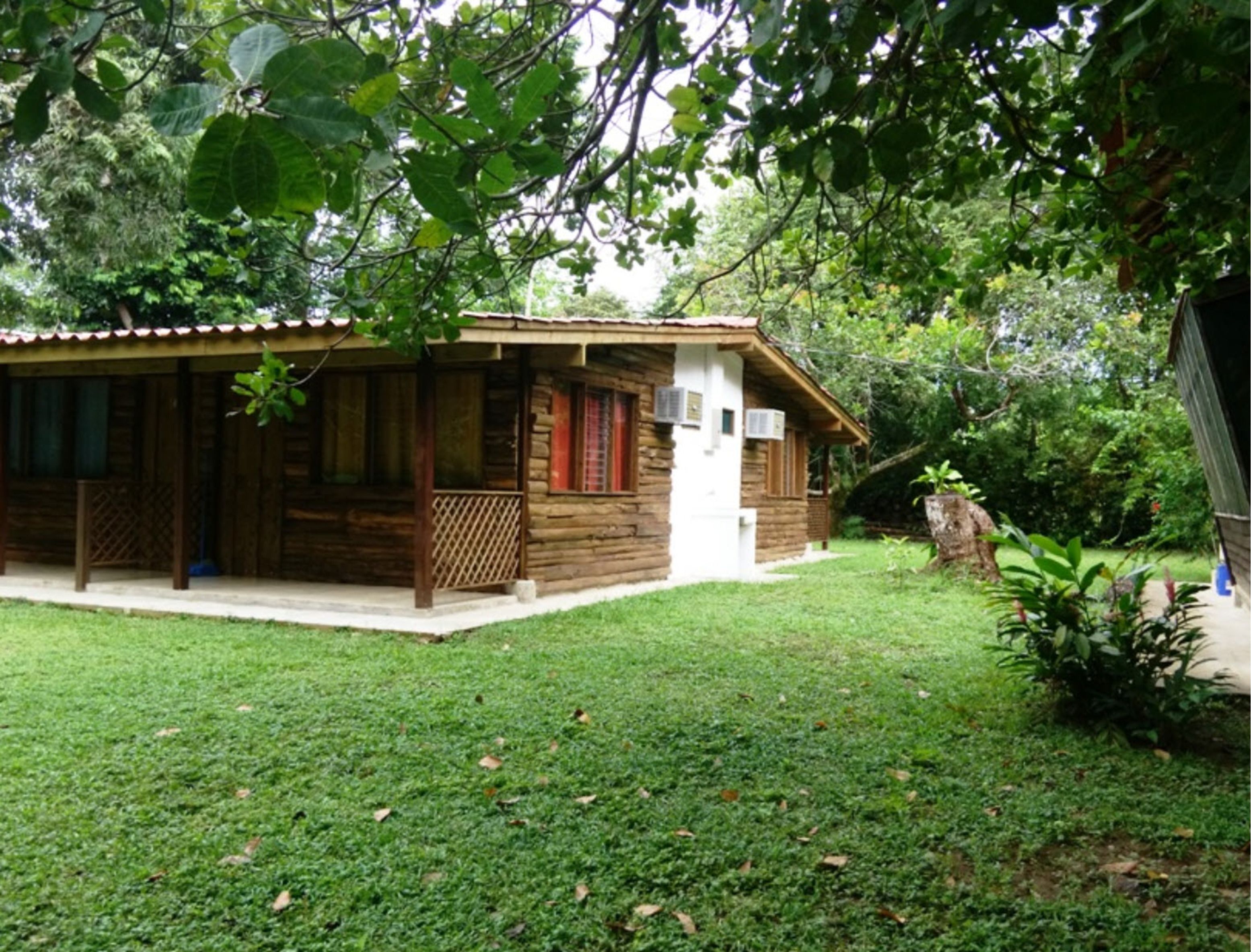 Uma cabana de madeira com varanda, cercada por um gramado bem cuidado e folhagem densa.