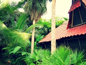 Exterior detail - Villas María Luisa Lodge (Bahía Ballena)