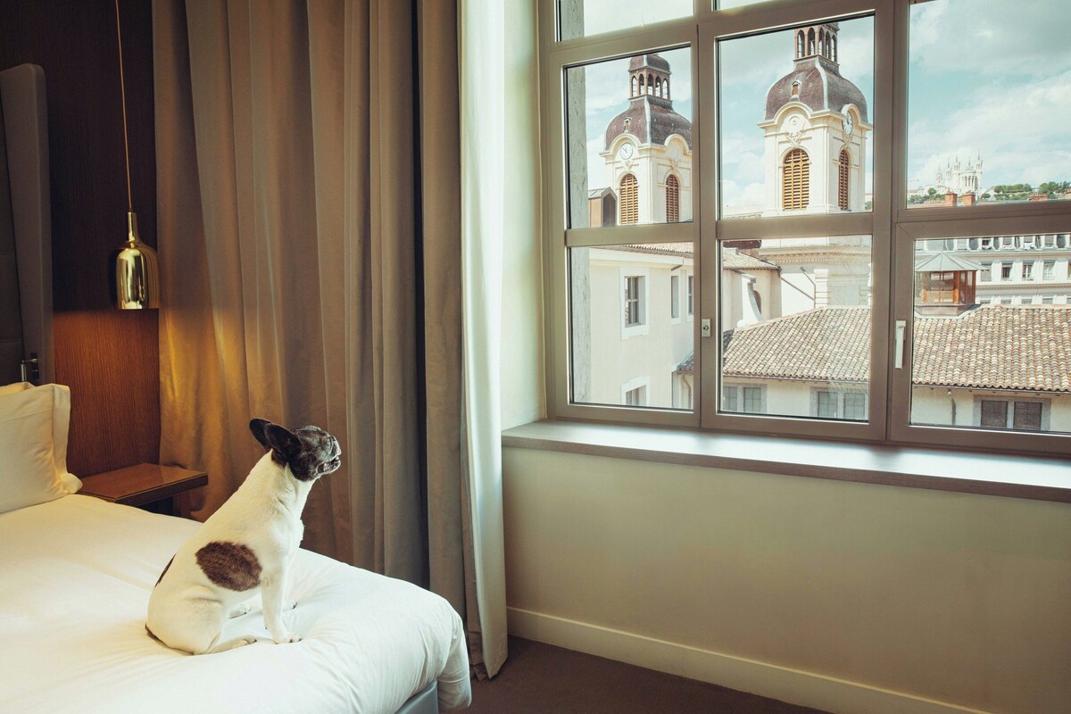 A dog sitting on a bed in a hotel room with a window overlooking a building with domes.