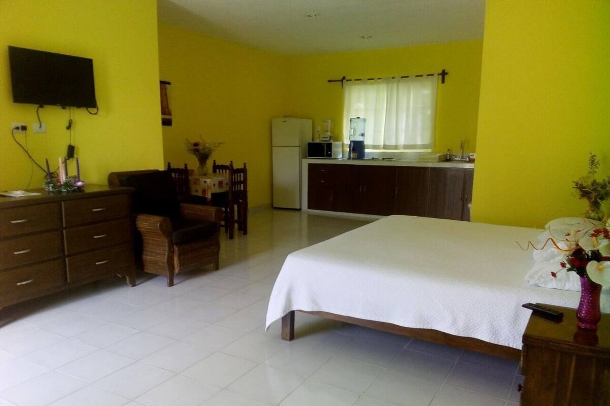 Estudio Confort, 1 cama de matrimonio grande, no fumadores | Caja fuerte, tabla de planchar con plancha, cunas gratuitas