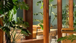 Un interior moderno con vigas de madera, una maceta de piedra con planta y un banco.