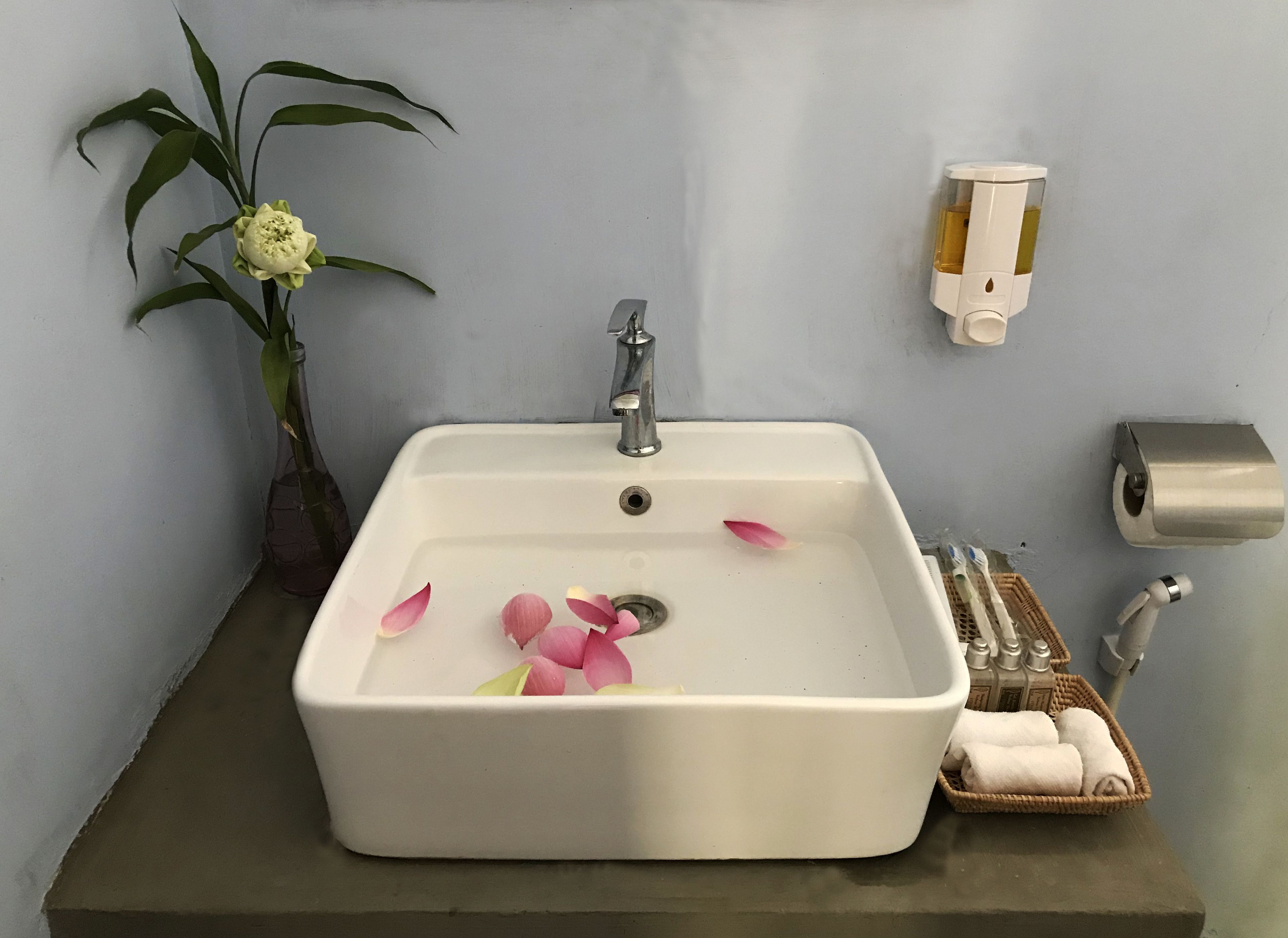 Un baño con un lavabo blanco, una planta en maceta, un perchero para toallas y un dispensador de jabón.