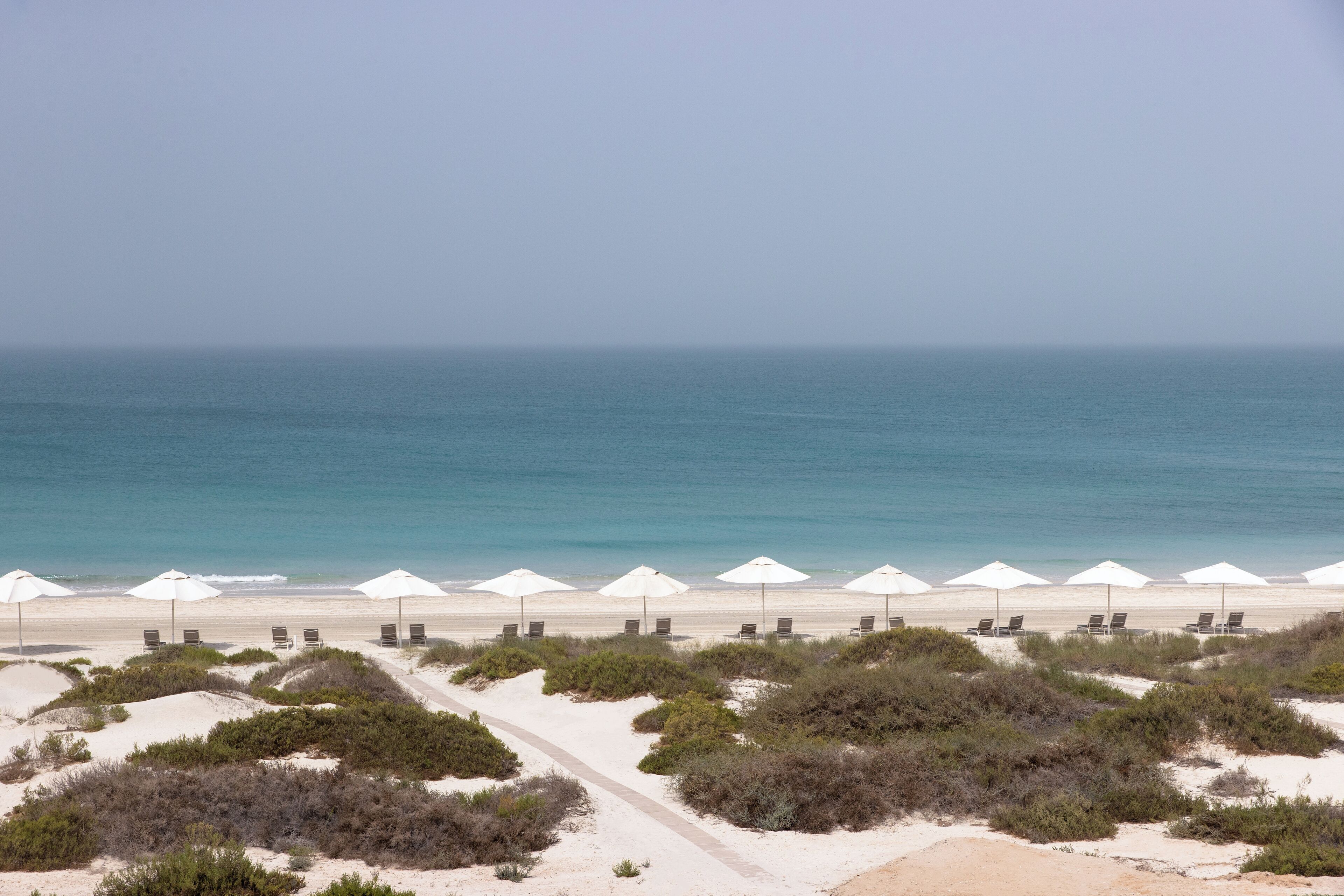 A beach with white umbrellas and chairs, a sandy path, and sparse vegetation.