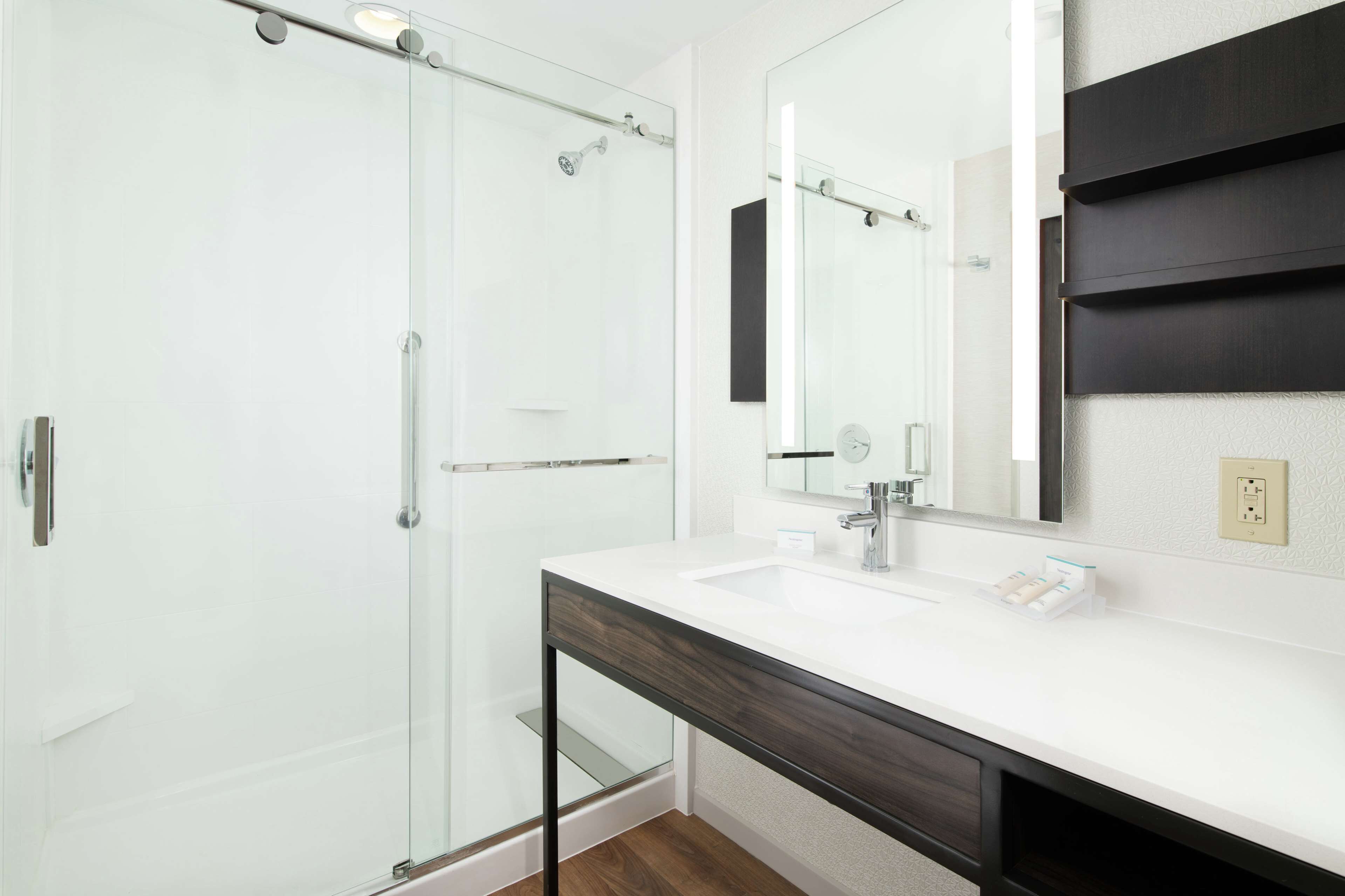 suite, 1 bedroom (king with sofabed) | bathroom shower