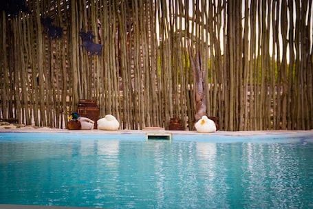 Outdoor pool, sun loungers