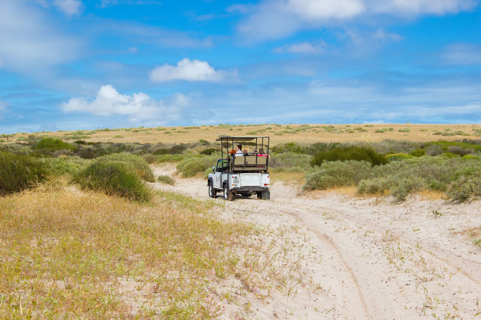 A safari vehicle on a dirt road in a desert landscape with sparse vegetation and distant hills.