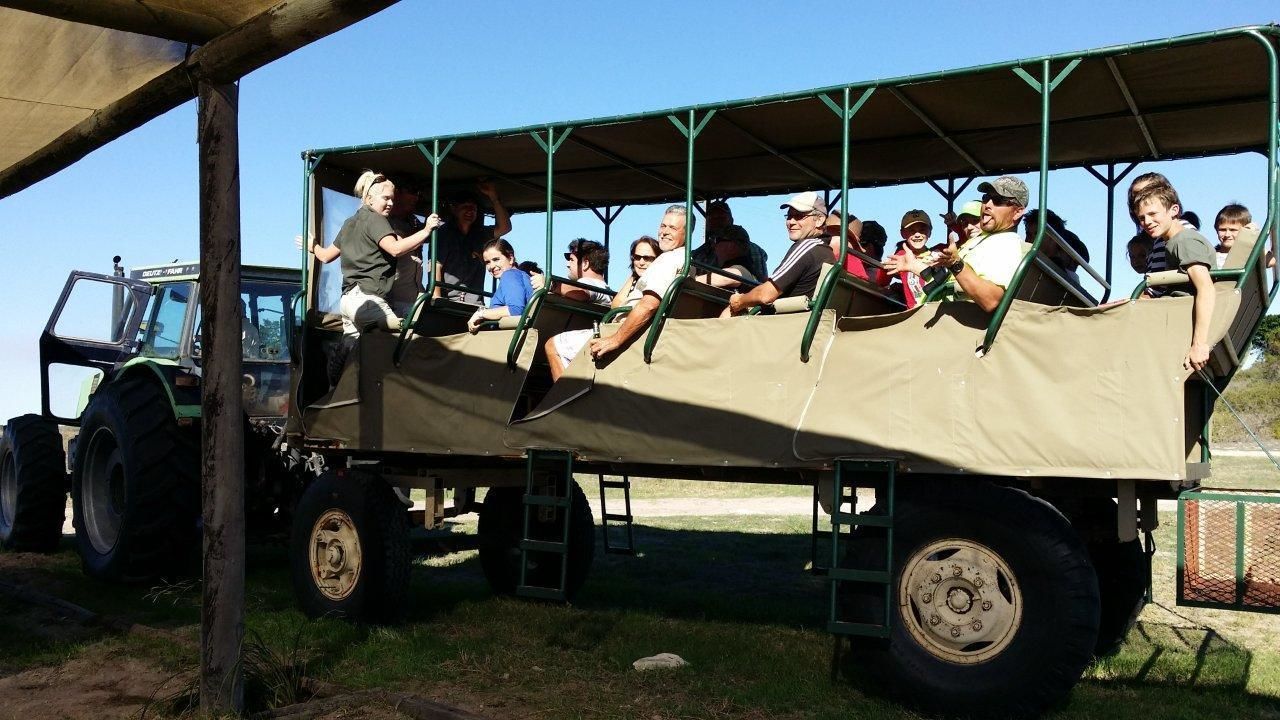 Un gruppo di persone su un veicolo safari con tettoia e grandi ruote, parcheggiato sotto una tettoia.