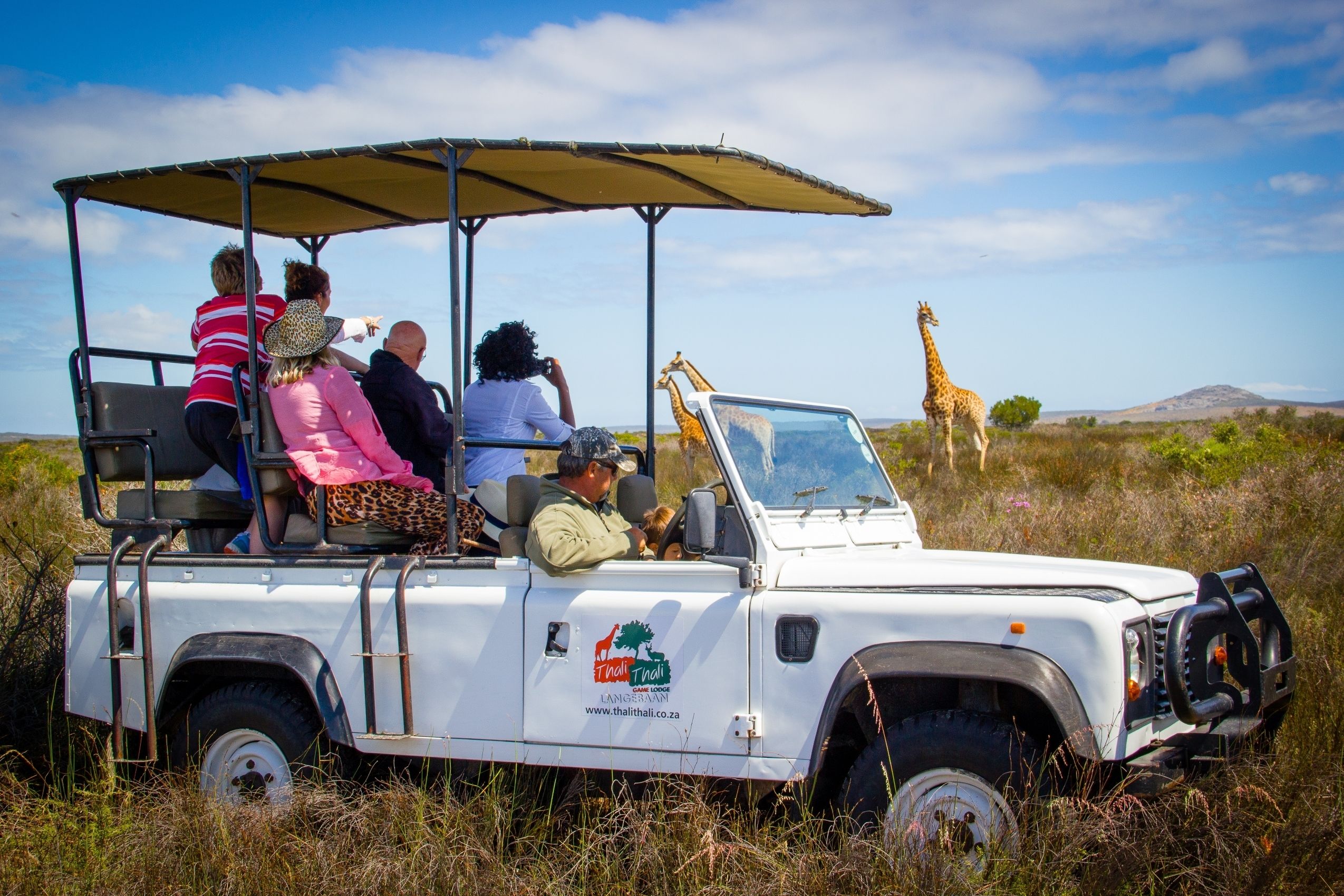 A safari vehicle with passengers and a giraffe in the background.
