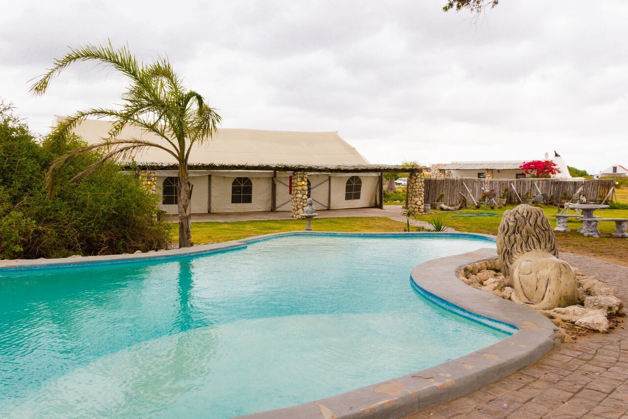 A swimming pool with a stone border, a palm tree, and a building with a tiled roof in the background.