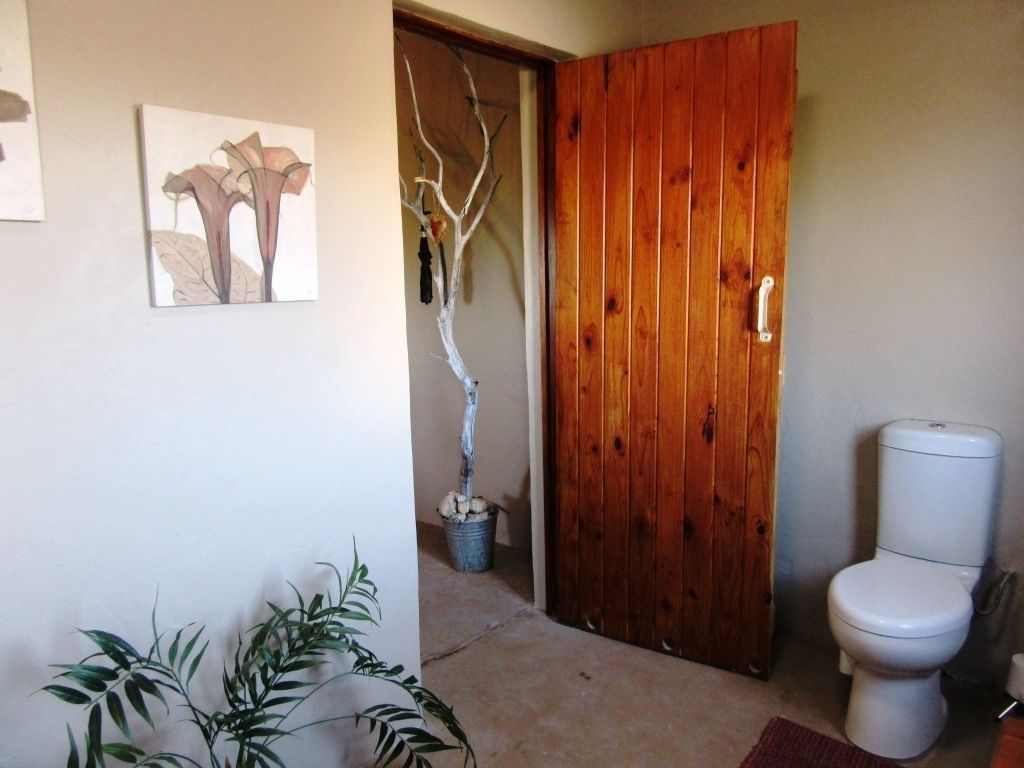 Un baño con puerta de madera, inodoro y planta en maceta.