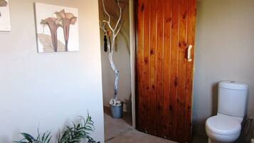 Un baño con puerta de madera, inodoro y planta en maceta.