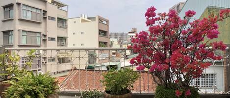 Gallery Double Room, 1 Double Bed, Lanai | Terrace/patio