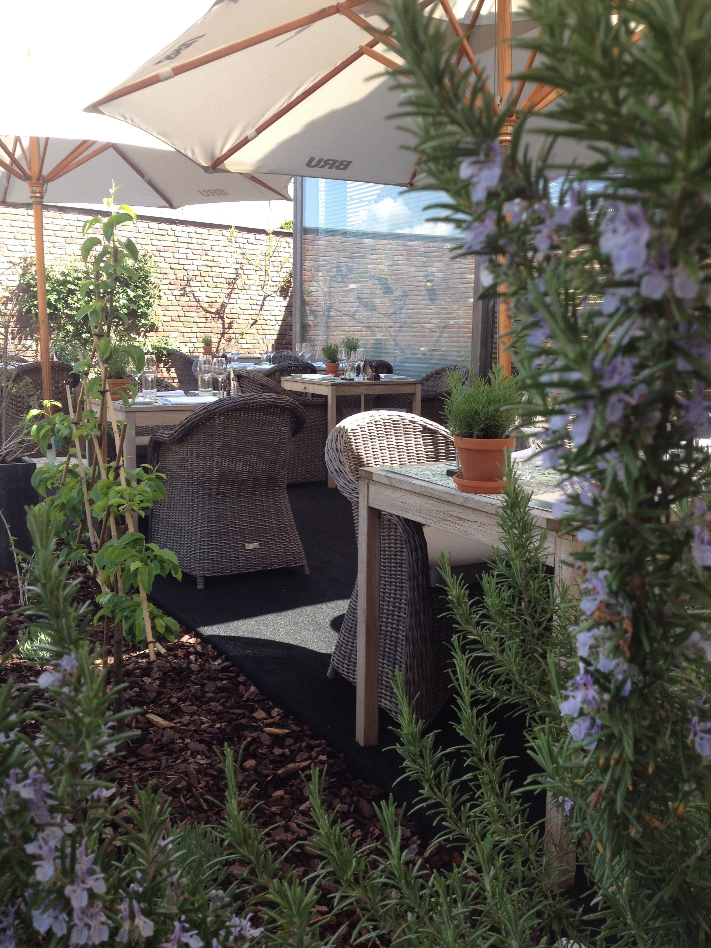An outdoor seating area with wicker furniture, potted plants, and umbrellas.