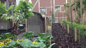 A garden with a wicker chair, a white umbrella, and a brick house in the background. - Hotel Restaurant Vous lé Vous (Hasselt)