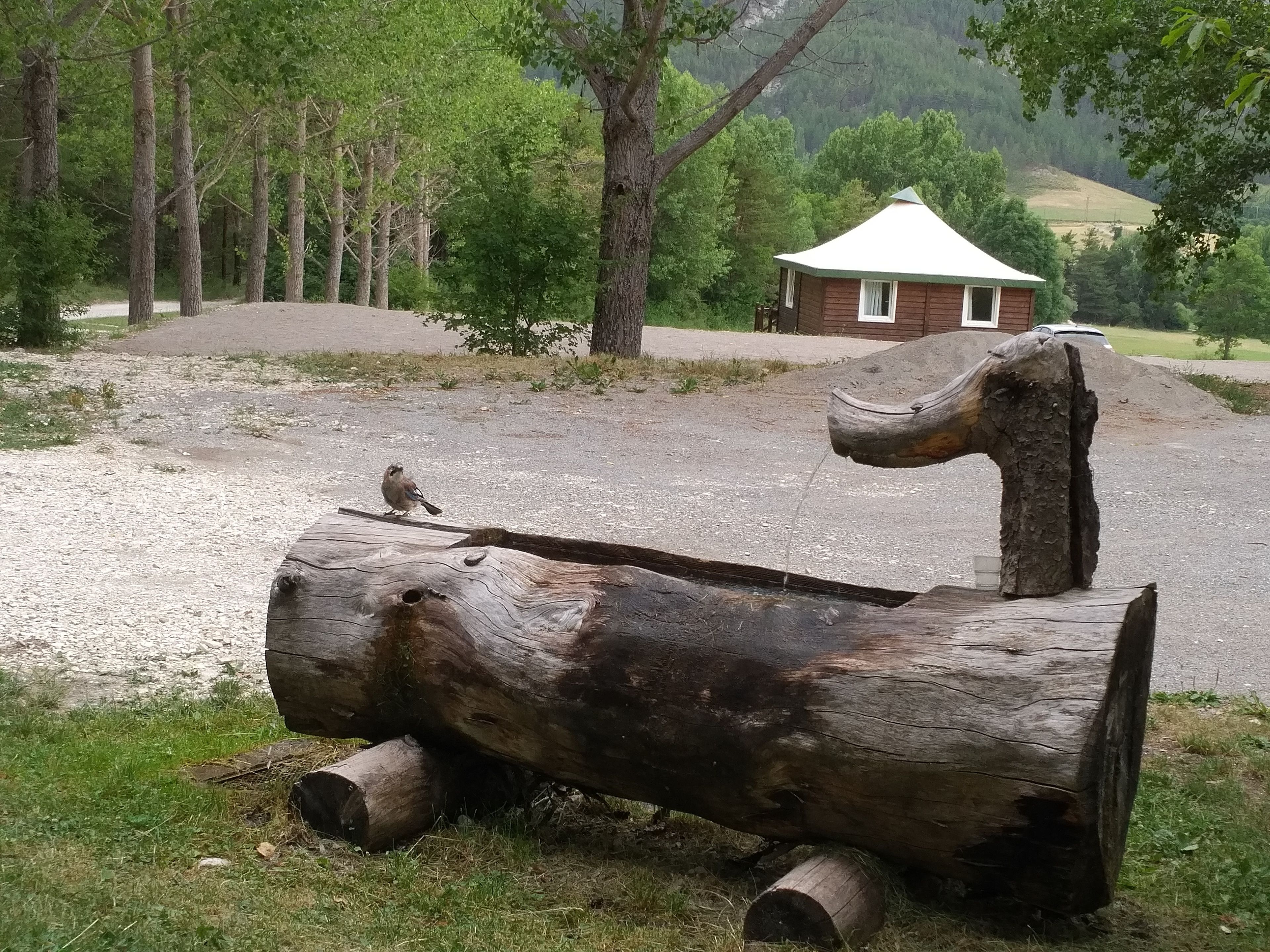 Eine rustikale Holzhütte mit einem Kegeldach, umgeben von bewaldetem Gelände mit einem Kiesweg dorthin.