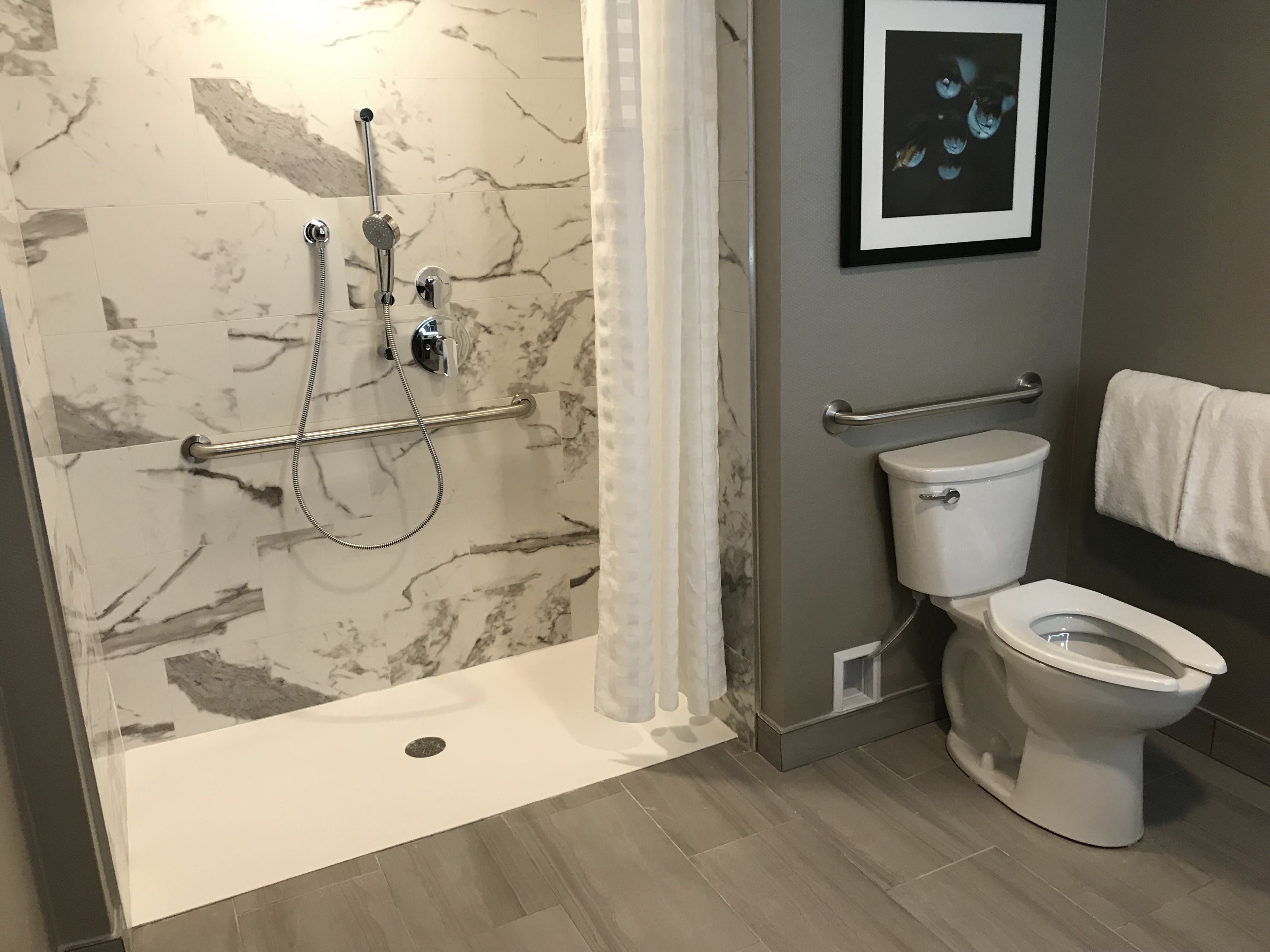 A modern bathroom with a walk-in shower, grab bars, a toilet, and a framed picture on the wall.