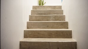 A set of concrete stairs leading up to a landing with a plant on the top step.