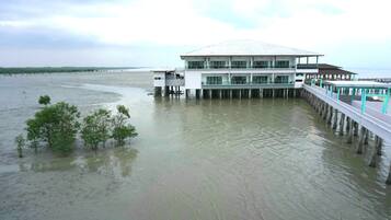 Vista desde la propiedad
