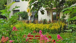 A garden with yellow flowers and red benches in front of a building with multiple windows and outdoor seating.