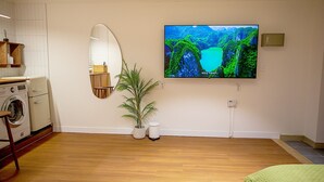 A room with a washing machine, a mirror, a potted plant, and a TV displaying a nature scene. - MIHOJAE Hostel Busan (Busan)