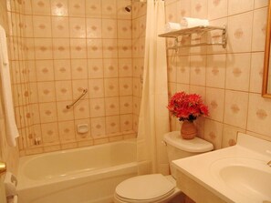 Secador de cabelo, toalhas de banho