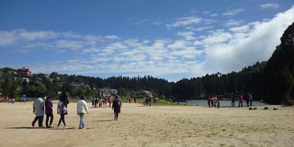 View from property - The Park Hotel (Kurseong)