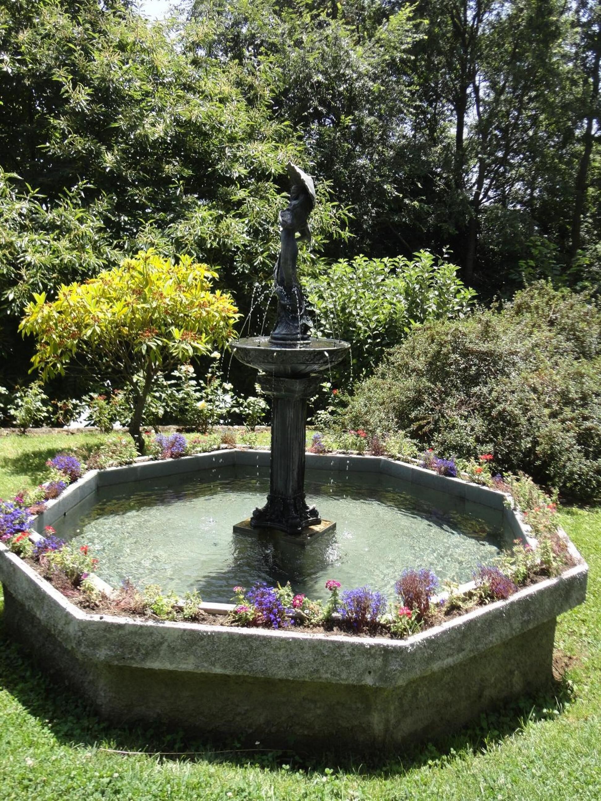 Foto - Complejo Turístico Pucón