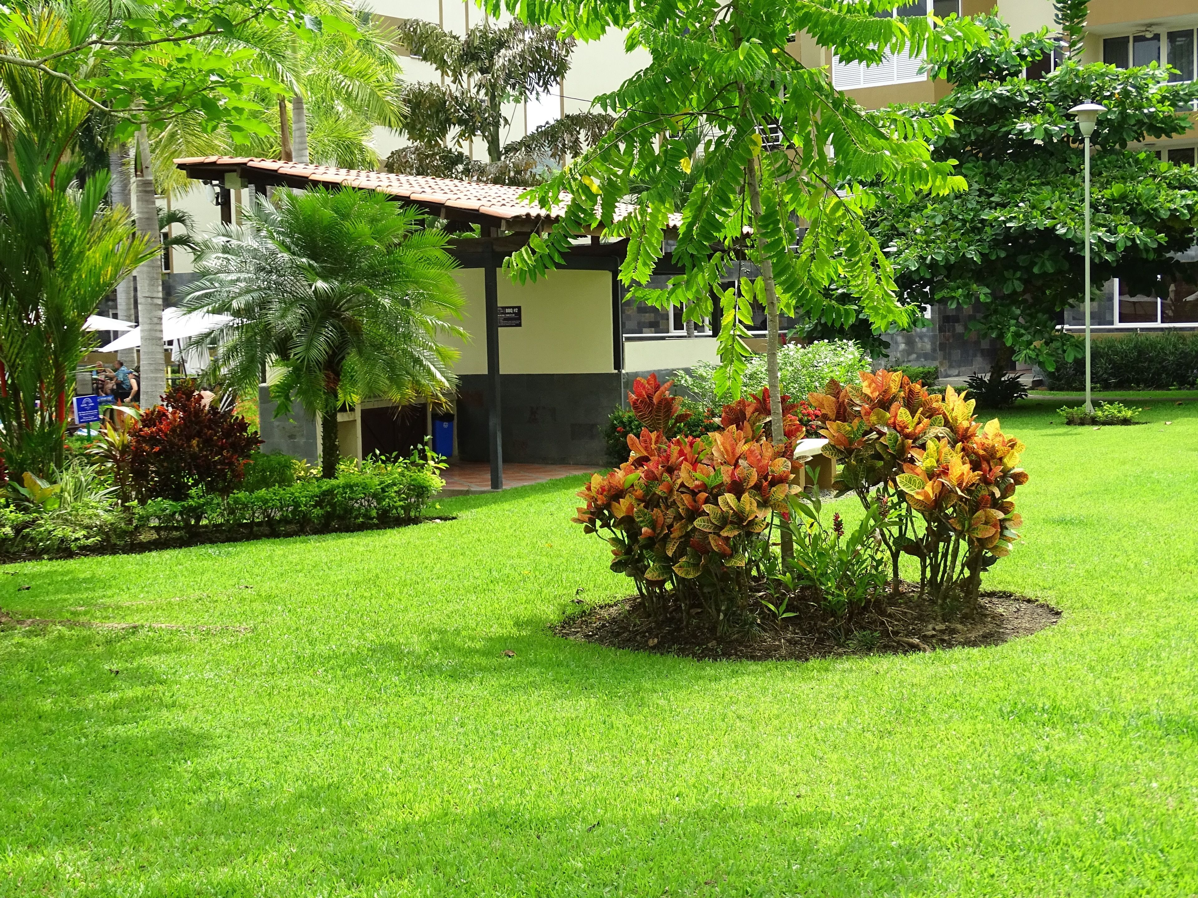 A well-maintained garden with a variety of plants and a small building with a tiled roof.