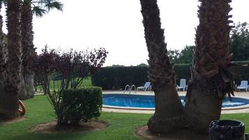 A pool area with palm trees, a small bush, and a tiled patio.